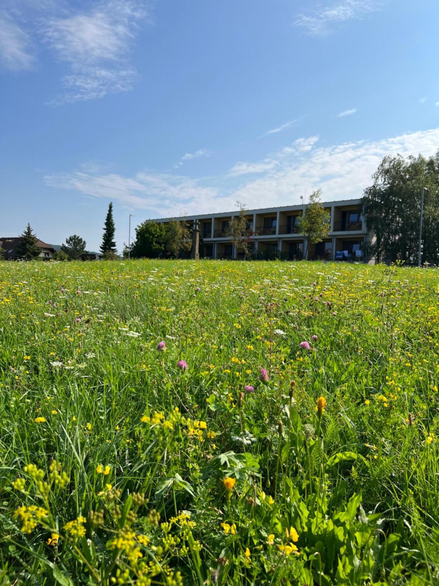 Lazensky A Wellness Nivamare 4*
